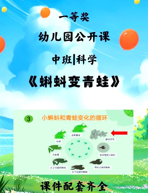 小青蛙换边，探索生态平衡的秘密