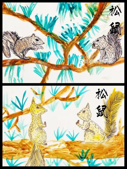 松鼠大作战，探索自然界的智慧与趣味