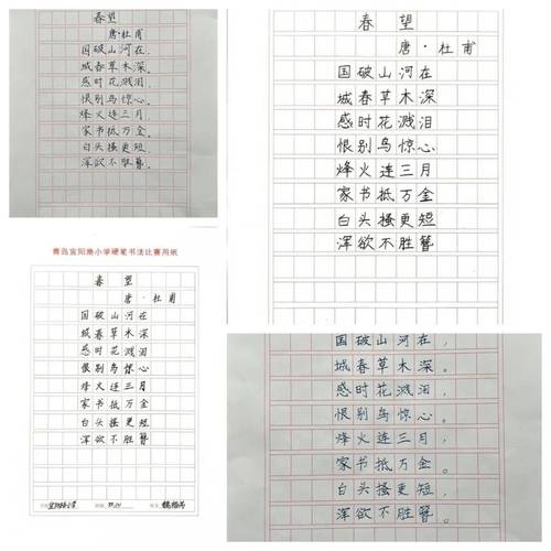 王楼悠悠，探索中国传统诗词的魅力与传承